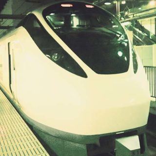 写真は、帰りにいわき駅から乗車したスーパーひたち。上野駅にて。